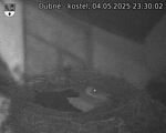 Capi_Dubne_20250504_233002.jpg