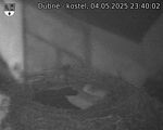 Capi_Dubne_20250504_234002.jpg
