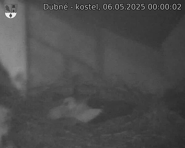 Capi_Dubne_20250506_000002.jpg (1350 x 1080)
