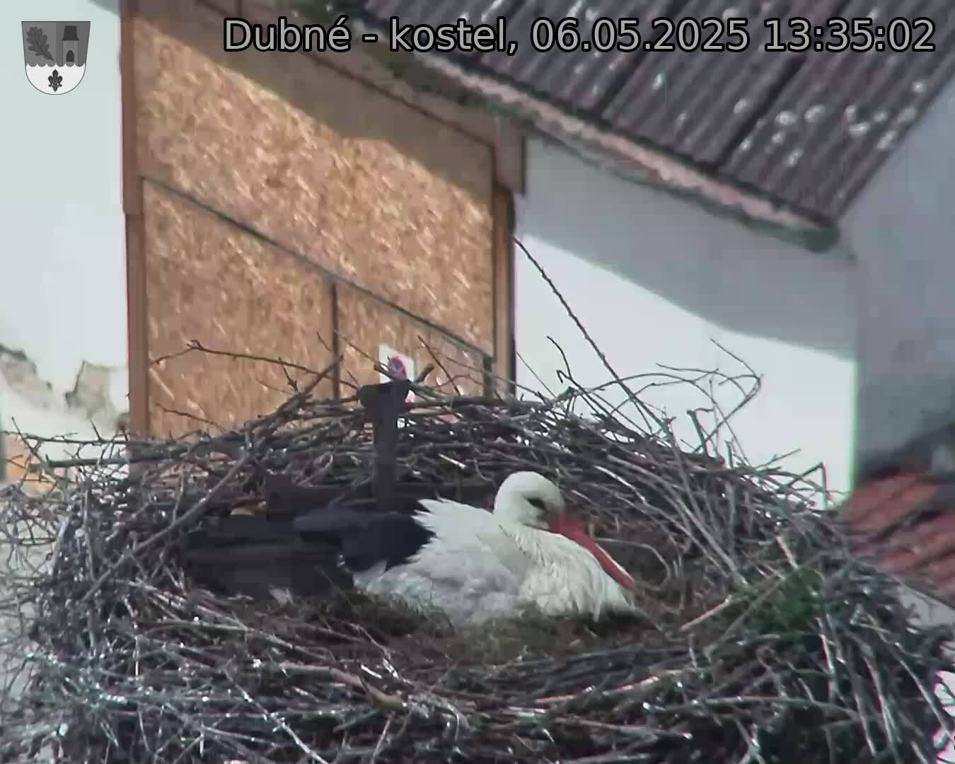 Capi_Dubne_20250506_133502.jpg (1350 x 1080)