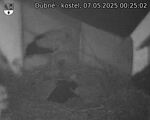 Capi_Dubne_20250507_002502.jpg