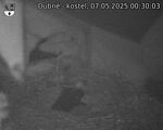 Capi_Dubne_20250507_003003.jpg