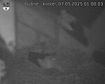 Capi_Dubne_20250507_010003.jpg