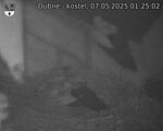 Capi_Dubne_20250507_012502.jpg