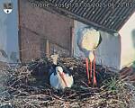 Capi_Dubne_20250507_062003.jpg