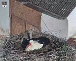 Capi_Dubne_20250507_073002.jpg