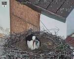 Capi_Dubne_20250507_102003.jpg
