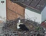 Capi_Dubne_20250507_104503.jpg
