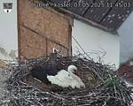 Capi_Dubne_20250507_114503.jpg