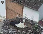 Capi_Dubne_20250507_115503.jpg