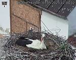 Capi_Dubne_20250507_120002.jpg
