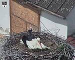 Capi_Dubne_20250507_124502.jpg