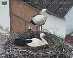 Capi_Dubne_20250507_145503.jpg
