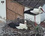 Capi_Dubne_20250507_150003.jpg