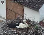 Capi_Dubne_20250507_151502.jpg