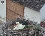 Capi_Dubne_20250507_163003.jpg