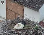 Capi_Dubne_20250507_174503.jpg