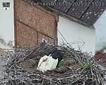 Capi_Dubne_20250507_175503.jpg