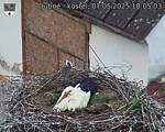 Capi_Dubne_20250507_180503.jpg