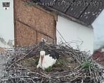 Capi_Dubne_20250507_190503.jpg