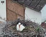 Capi_Dubne_20250507_191503.jpg