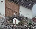 Capi_Dubne_20250507_192003.jpg