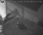 Capi_Dubne_20250507_211503.jpg