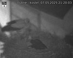 Capi_Dubne_20250507_212003.jpg