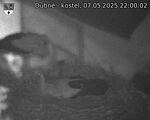 Capi_Dubne_20250507_220002.jpg