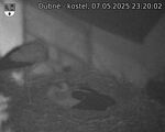 Capi_Dubne_20250507_232002.jpg