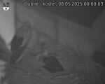 Capi_Dubne_20250508_000003.jpg
