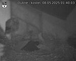 Capi_Dubne_20250508_014003.jpg