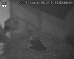Capi_Dubne_20250508_020003.jpg