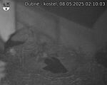 Capi_Dubne_20250508_021003.jpg