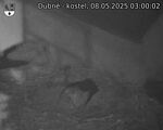 Capi_Dubne_20250508_030002.jpg