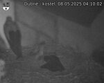 Capi_Dubne_20250508_041002.jpg