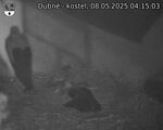 Capi_Dubne_20250508_041503.jpg