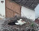 Capi_Dubne_20250508_060503.jpg