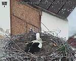 Capi_Dubne_20250508_100503.jpg