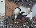 Capi_Dubne_20250508_102002.jpg