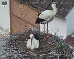 Capi_Dubne_20250508_102503.jpg