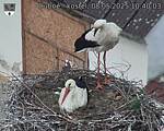 Capi_Dubne_20250508_104003.jpg