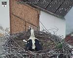 Capi_Dubne_20250508_111503.jpg
