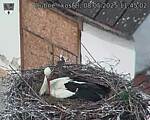 Capi_Dubne_20250508_114502.jpg