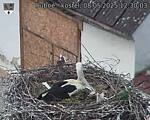 Capi_Dubne_20250508_123003.jpg