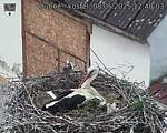Capi_Dubne_20250508_124003.jpg