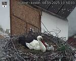 Capi_Dubne_20250508_135003.jpg