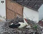 Capi_Dubne_20250508_140503.jpg