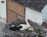 Capi_Dubne_20250508_141003.jpg