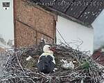 Capi_Dubne_20250508_142002.jpg
